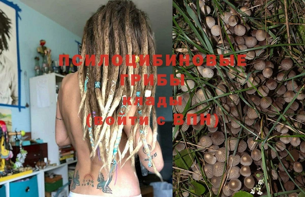 шишки Яранск