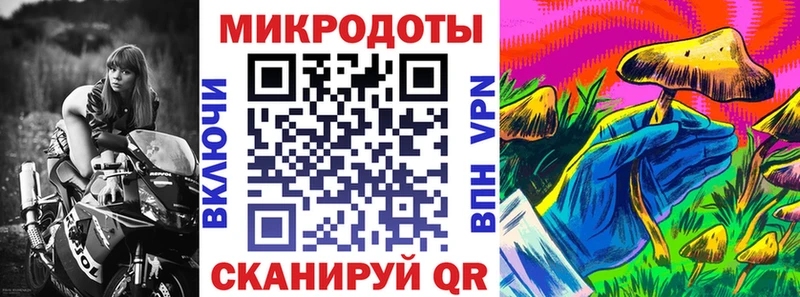 Купить где  Назрань  Галлюциногенные грибы Magic Shrooms 